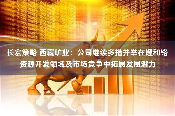 长宏策略 西藏矿业：公司继续多措并举在锂和铬资源开发领域及市场竞争中拓展发展潜力